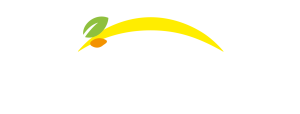 Bonduelle - Vissza a nyitólapra